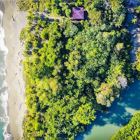 Punta Preciosa Bed & Breakfast Puerto Jiménez Dış mekan fotoğraf