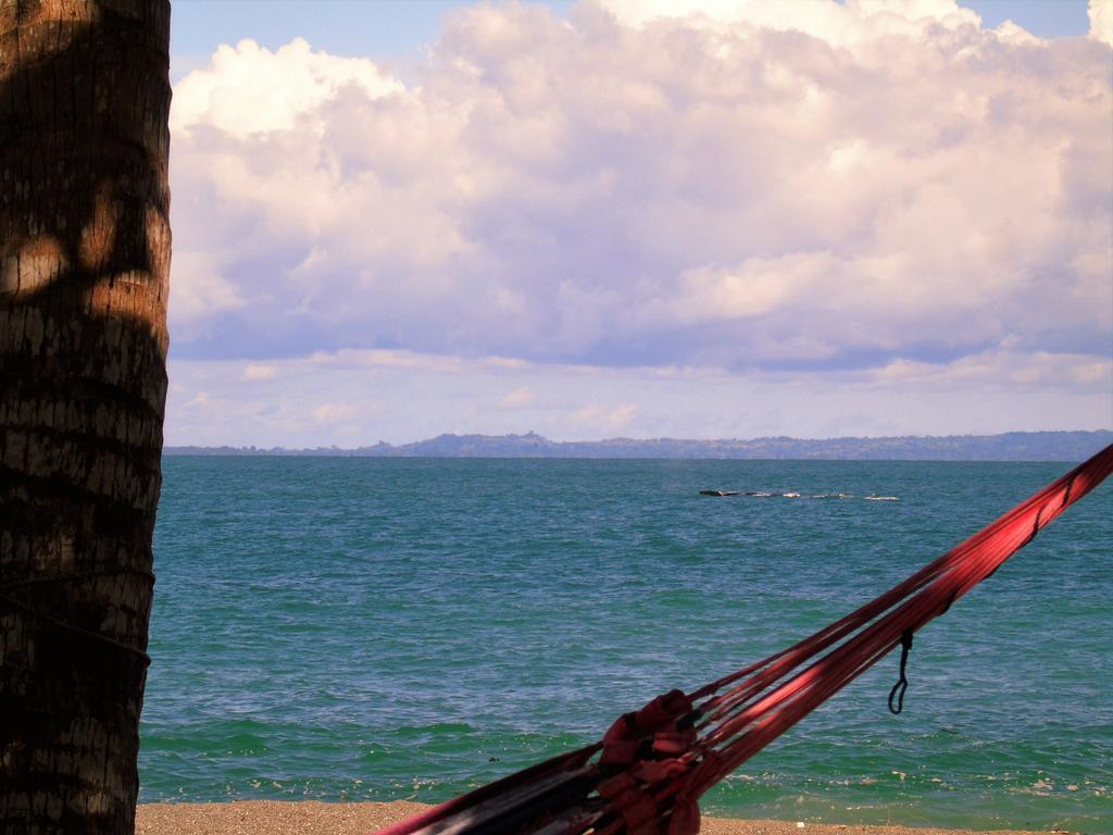 Punta Preciosa Bed & Breakfast Puerto Jiménez Dış mekan fotoğraf