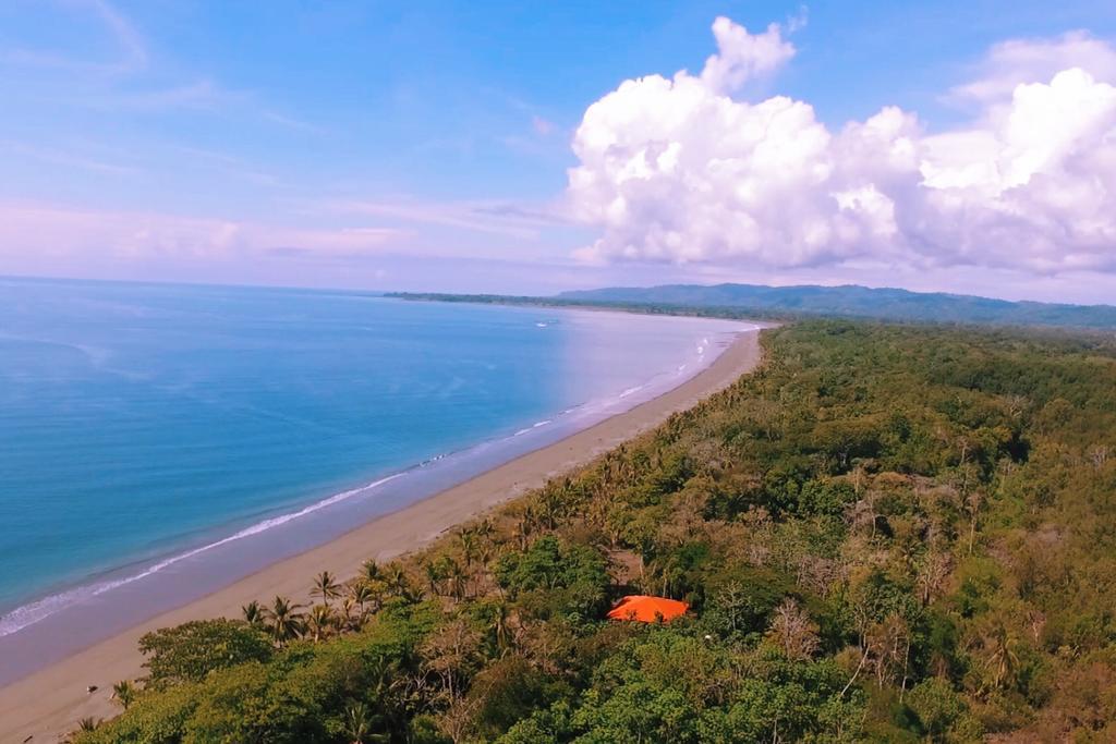Punta Preciosa Bed & Breakfast Puerto Jiménez Dış mekan fotoğraf