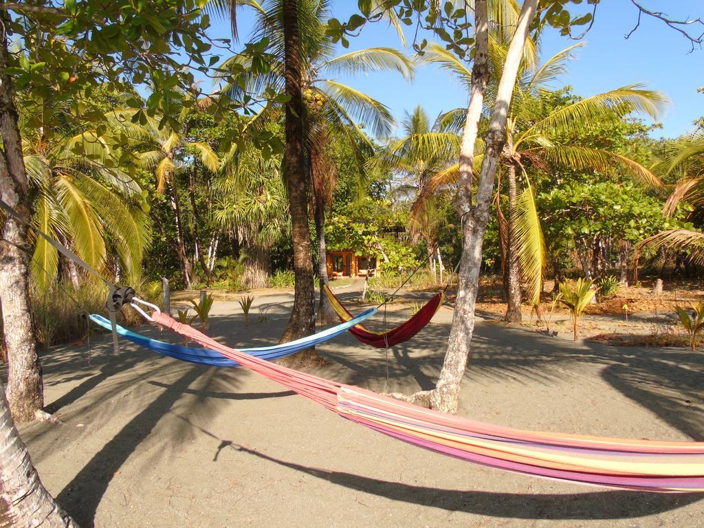 Punta Preciosa Bed & Breakfast Puerto Jiménez Dış mekan fotoğraf