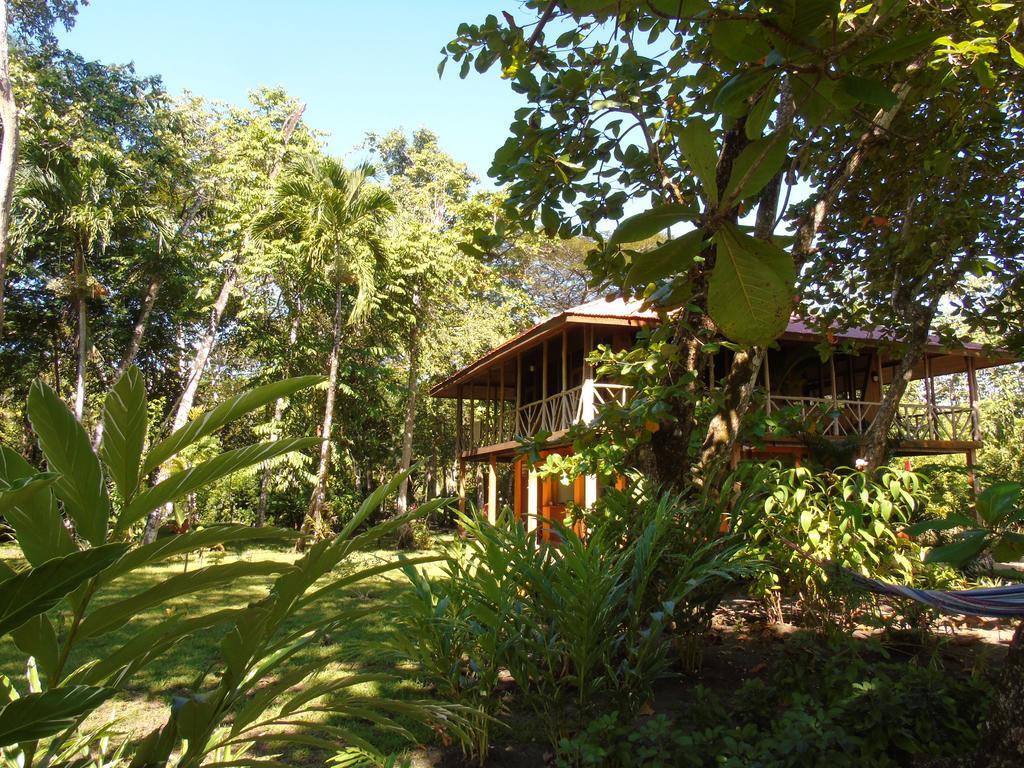 Punta Preciosa Bed & Breakfast Puerto Jiménez Dış mekan fotoğraf