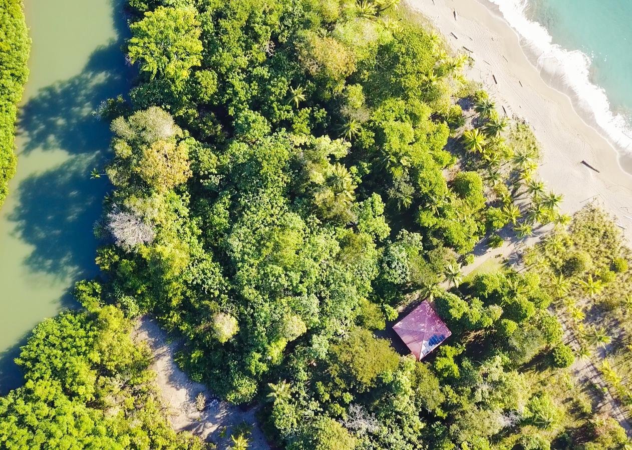 Punta Preciosa Bed & Breakfast Puerto Jiménez Dış mekan fotoğraf