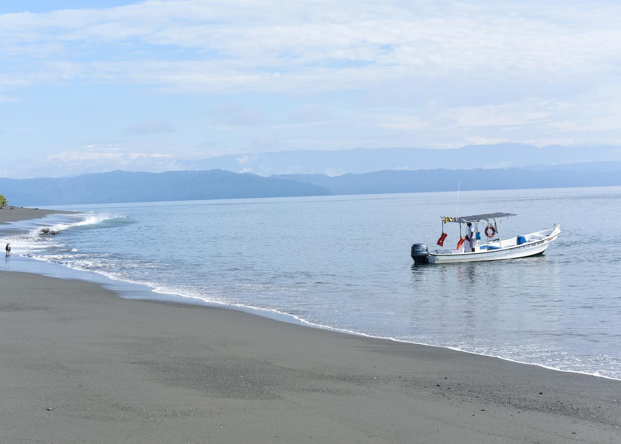 Punta Preciosa Bed & Breakfast Puerto Jiménez Dış mekan fotoğraf