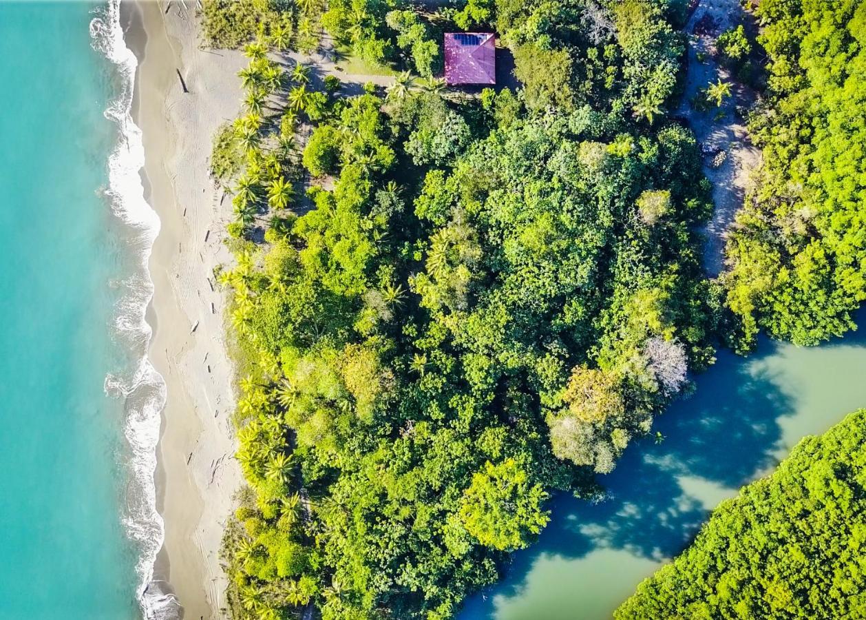 Punta Preciosa Bed & Breakfast Puerto Jiménez Dış mekan fotoğraf
